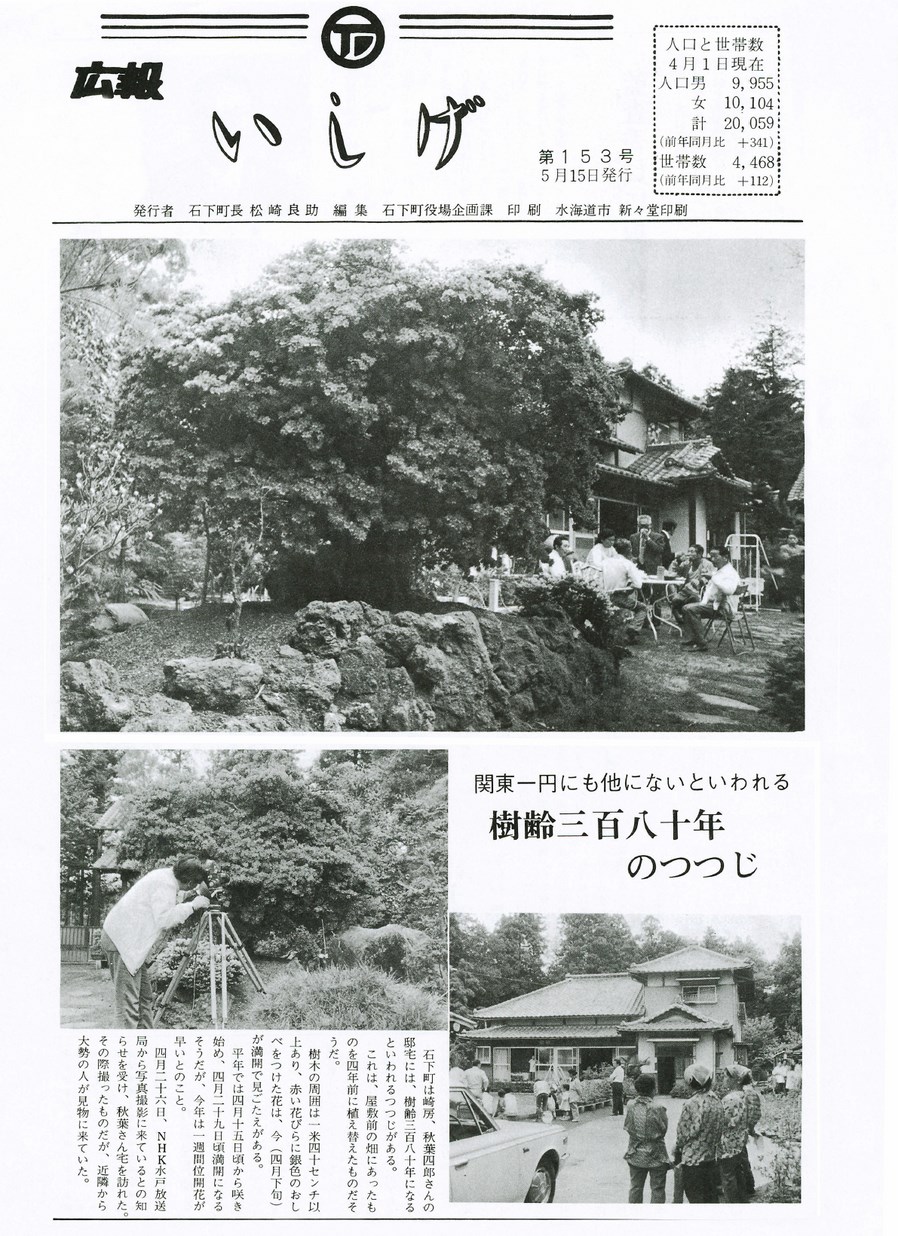 広報いしげ　1977年5月　第153号の表紙画像